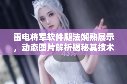 雷电将军软件腿法娴熟展示，动态图片解析揭秘其技术奥秘
