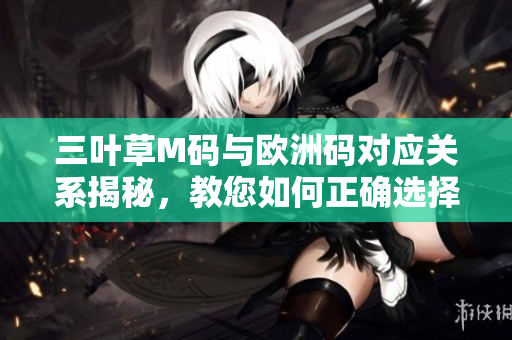 三叶草M码与欧洲码对应关系揭秘，教您如何正确选择软件尺码