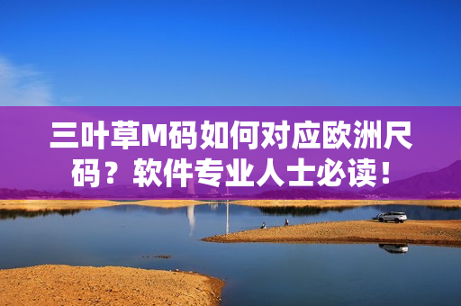 三叶草M码如何对应欧洲尺码？软件专业人士必读！