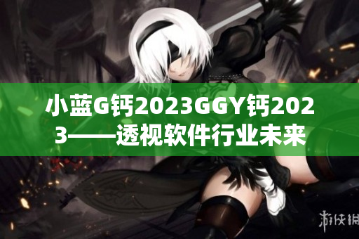 小蓝G钙2023GGY钙2023——透视软件行业未来