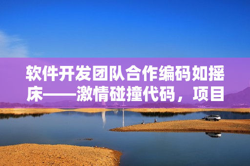 软件开发团队合作编码如摇床——激情碰撞代码，项目进展迅猛