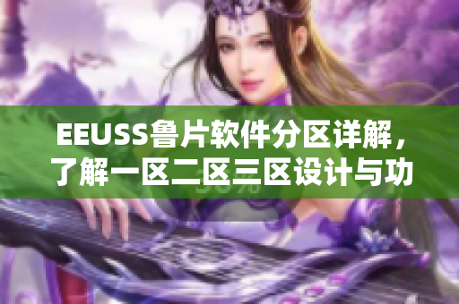 EEUSS鲁片软件分区详解，了解一区二区三区设计与功能