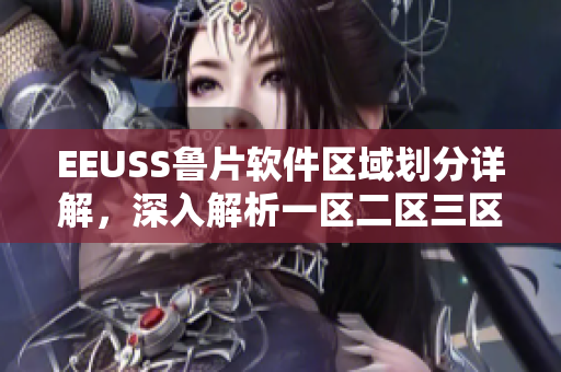 EEUSS鲁片软件区域划分详解，深入解析一区二区三区