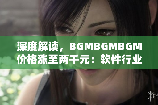 深度解读，BGMBGMBGM价格涨至两千元：软件行业的何去何从？