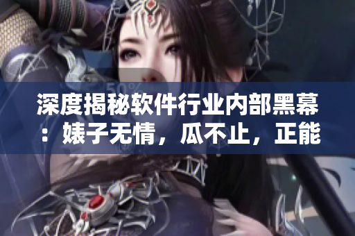 深度揭秘软件行业内部黑幕：婊子无情，瓜不止，正能量软件界的万里长征