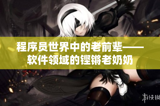 程序员世界中的老前辈——软件领域的铿锵老奶奶
