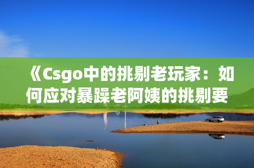 《Csgo中的挑剔老玩家：如何应对暴躁老阿姨的挑剔要求？》