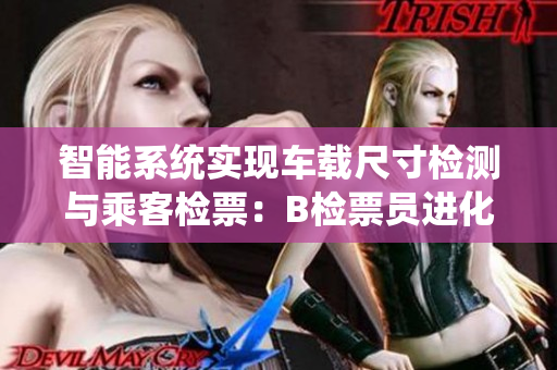 智能系统实现车载尺寸检测与乘客检票：B检票员进化为软件解决方案