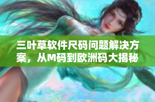 三叶草软件尺码问题解决方案，从M码到欧洲码大揭秘