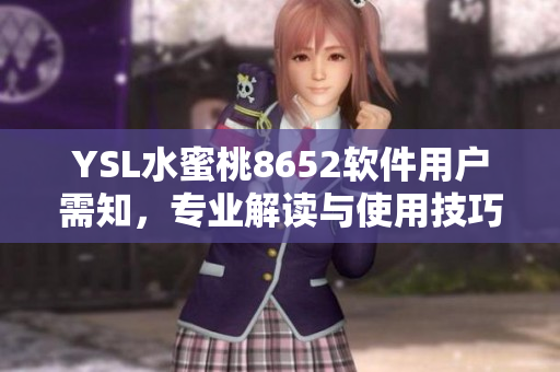 YSL水蜜桃8652软件用户需知，专业解读与使用技巧