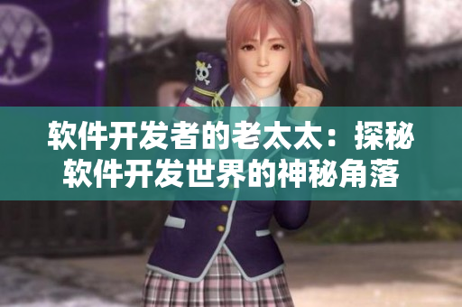 软件开发者的老太太：探秘软件开发世界的神秘角落