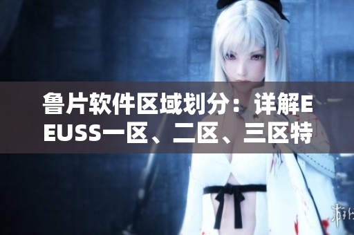鲁片软件区域划分：详解EEUSS一区、二区、三区特点