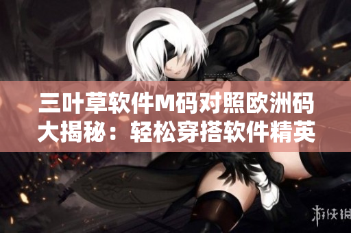 三叶草软件M码对照欧洲码大揭秘：轻松穿搭软件精英风范