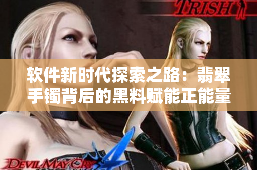 软件新时代探索之路：翡翠手镯背后的黑料赋能正能量