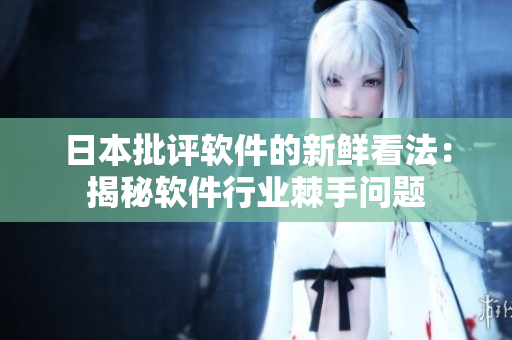 日本批评软件的新鲜看法：揭秘软件行业棘手问题