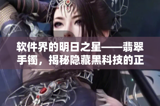 软件界的明日之星——翡翠手镯，揭秘隐藏黑科技的正能量故事