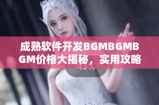 成熟软件开发BGMBGMBGM价格大揭秘，实用攻略详解