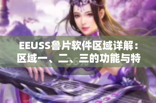 EEUSS鲁片软件区域详解：区域一、二、三的功能与特点