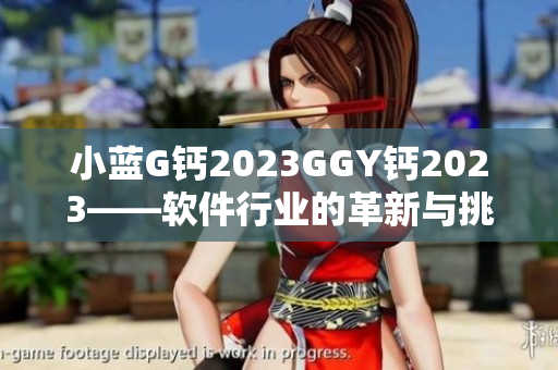 小蓝G钙2023GGY钙2023——软件行业的革新与挑战