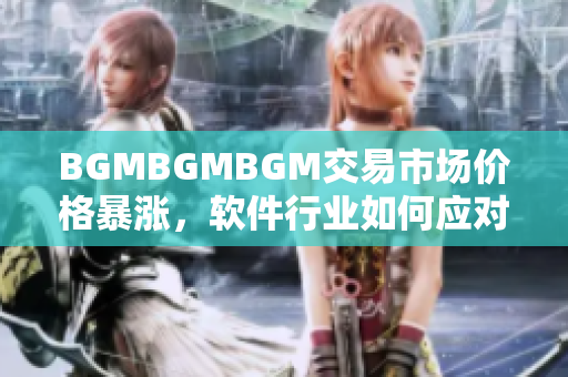 BGMBGMBGM交易市场价格暴涨，软件行业如何应对？