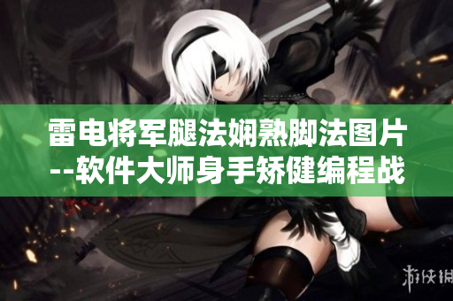 雷电将军腿法娴熟脚法图片--软件大师身手矫健编程战技展示