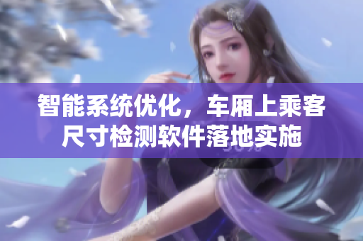 智能系统优化，车厢上乘客尺寸检测软件落地实施