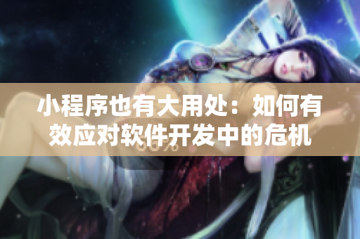 小程序也有大用处：如何有效应对软件开发中的危机