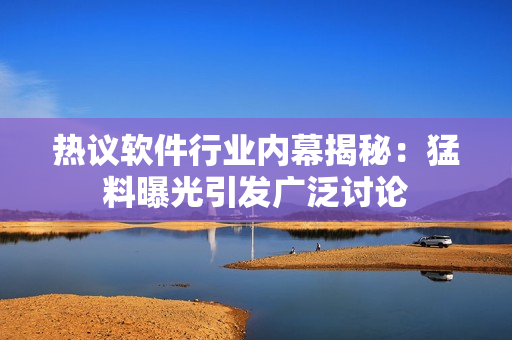 热议软件行业内幕揭秘：猛料曝光引发广泛讨论