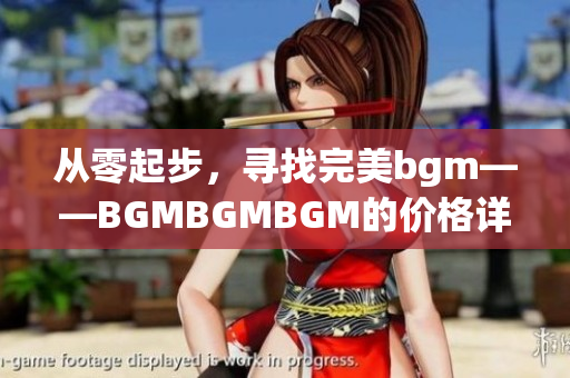 从零起步，寻找完美bgm——BGMBGMBGM的价格详解