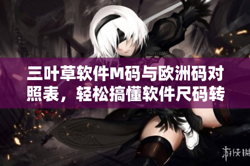 三叶草软件M码与欧洲码对照表，轻松搞懂软件尺码转换技巧