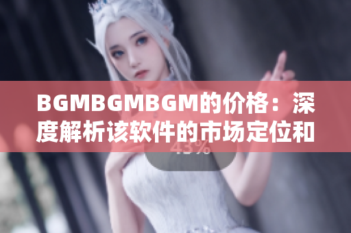 BGMBGMBGM的价格：深度解析该软件的市场定位和价格策略