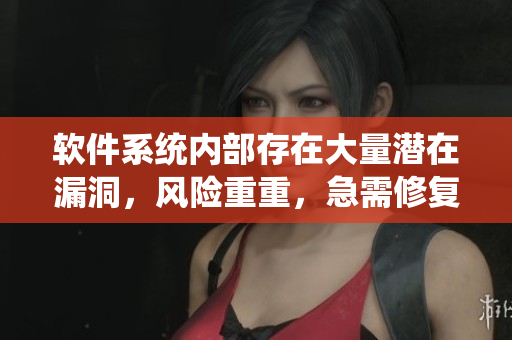软件系统内部存在大量潜在漏洞，风险重重，急需修复