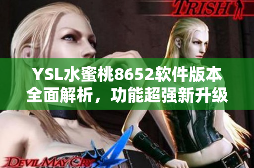 YSL水蜜桃8652软件版本全面解析，功能超强新升级