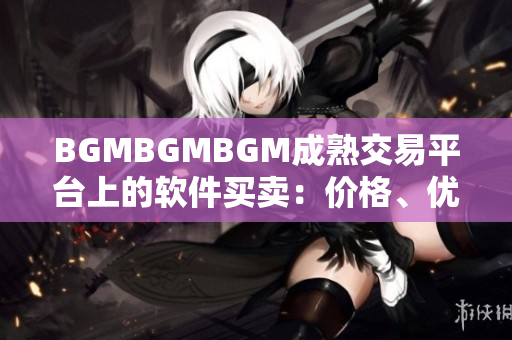 BGMBGMBGM成熟交易平台上的软件买卖：价格、优势与风险分析