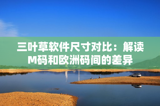 三叶草软件尺寸对比：解读M码和欧洲码间的差异