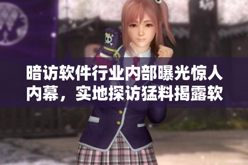 暗访软件行业内部曝光惊人内幕，实地探访猛料揭露软件黑幕，详尽解读瓜解热议