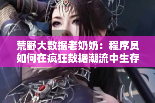 荒野大数据老奶奶：程序员如何在疯狂数据潮流中生存
