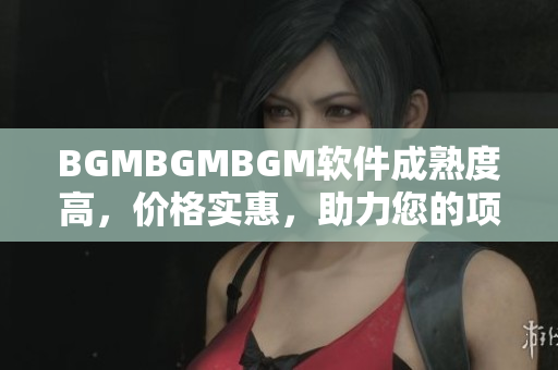 BGMBGMBGM软件成熟度高，价格实惠，助力您的项目发展