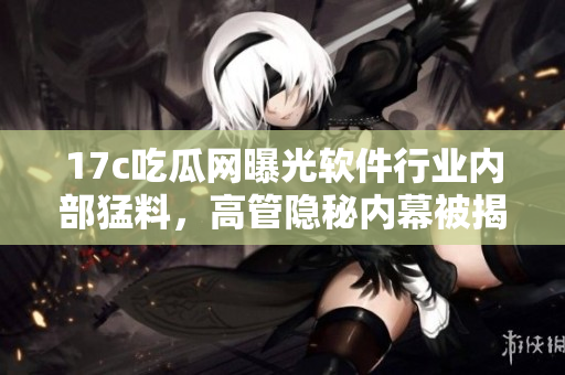 17c吃瓜网曝光软件行业内部猛料，高管隐秘内幕被揭露