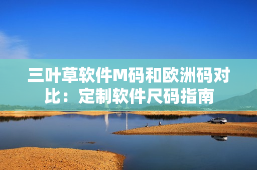 三叶草软件M码和欧洲码对比：定制软件尺码指南