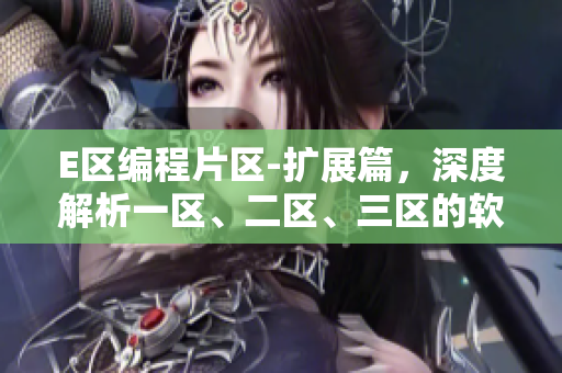 E区编程片区-扩展篇，深度解析一区、二区、三区的软件开发特点