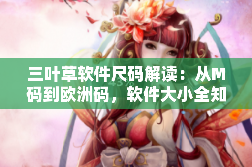 三叶草软件尺码解读：从M码到欧洲码，软件大小全知道