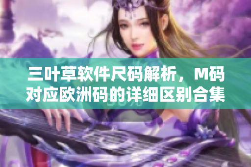 三叶草软件尺码解析，M码对应欧洲码的详细区别合集