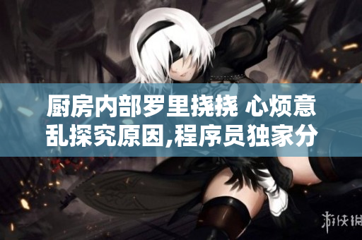 厨房内部罗里挠挠 心烦意乱探究原因,程序员独家分析！