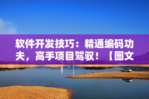 软件开发技巧：精通编码功夫，高手项目驾驭！【图文并茂】