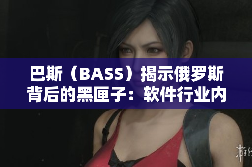 巴斯（BASS）揭示俄罗斯背后的黑匣子：软件行业内幕详解