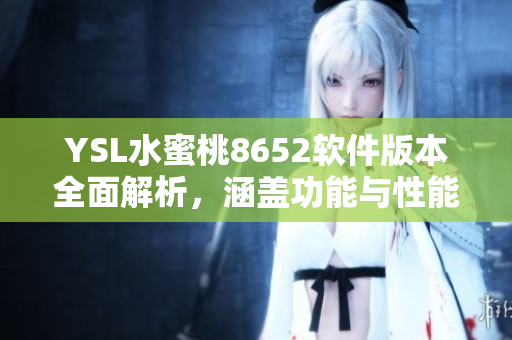 YSL水蜜桃8652软件版本全面解析，涵盖功能与性能分析