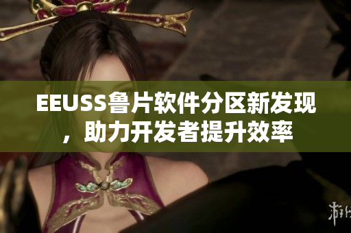 EEUSS鲁片软件分区新发现，助力开发者提升效率