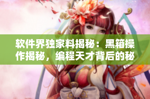 软件界独家料揭秘：黑箱操作揭秘，编程天才背后的秘密大揭露
