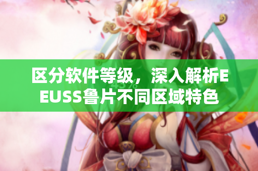 区分软件等级，深入解析EEUSS鲁片不同区域特色
